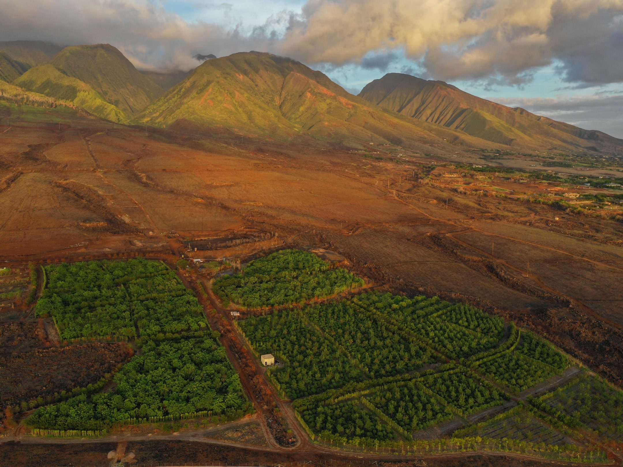 view of farm and mountains